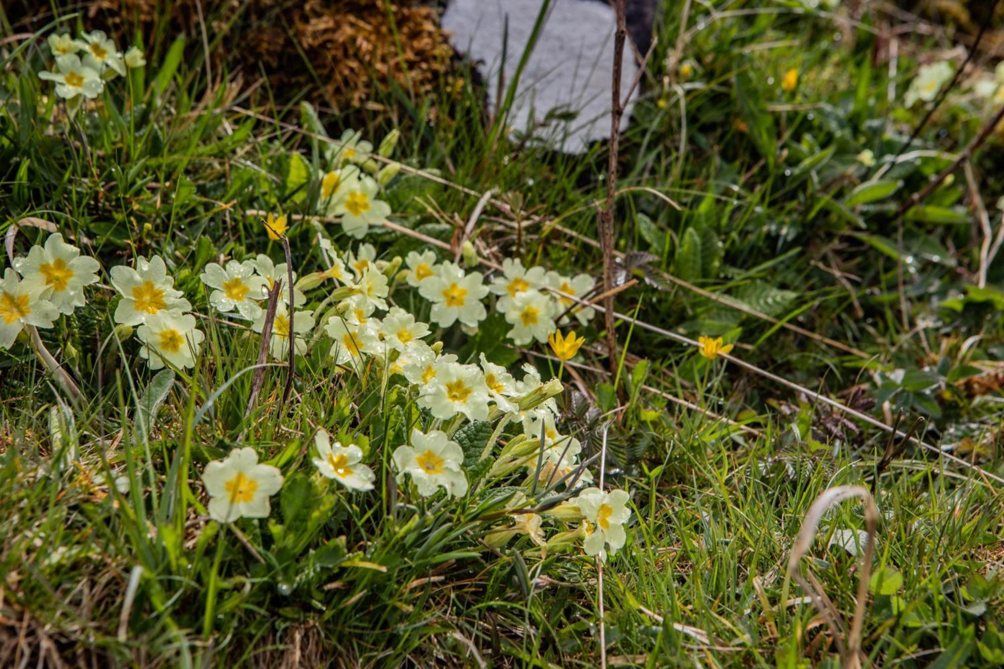 Вилла Edinbane Self Catering - On The Croft At Edinbane Экстерьер фото