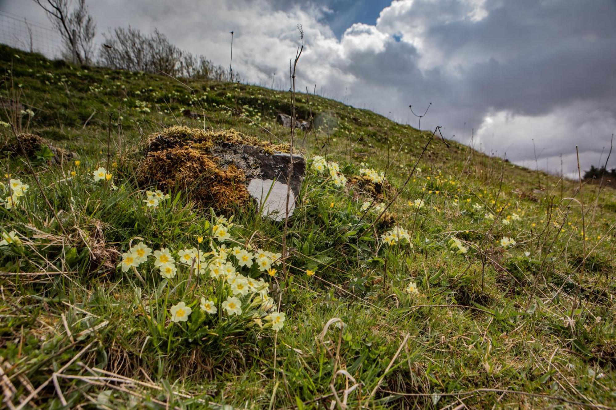 Вилла Edinbane Self Catering - On The Croft At Edinbane Экстерьер фото
